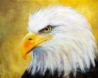 Eagle #1 Art Print